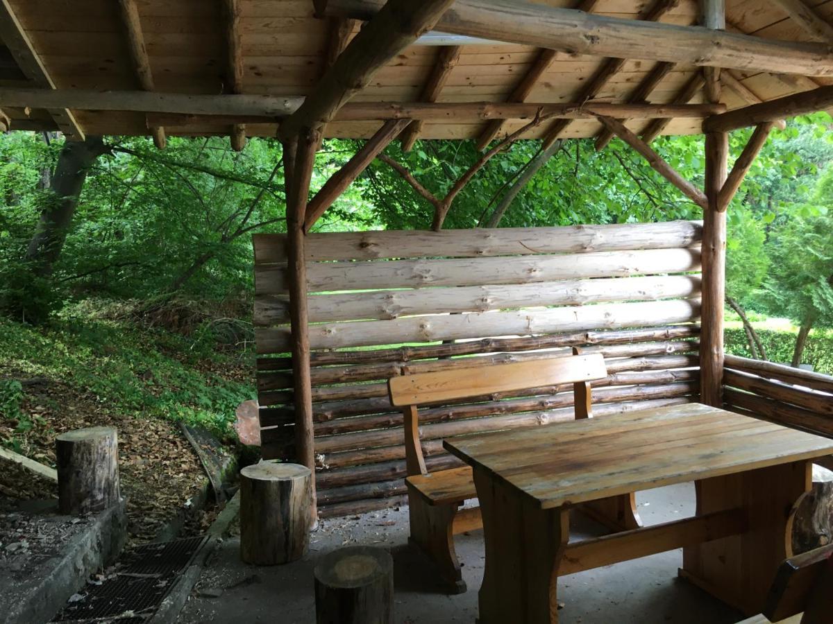 Пд Енерго - Вила Електра Doupnitsa Extérieur photo