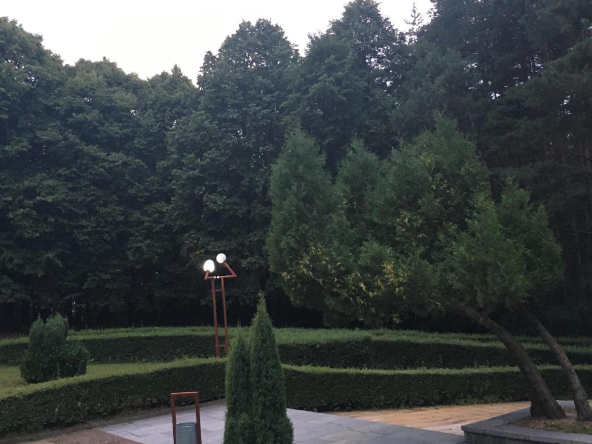 Пд Енерго - Вила Електра Doupnitsa Extérieur photo