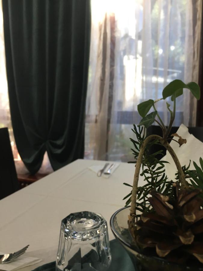 Пд Енерго - Вила Електра Doupnitsa Extérieur photo