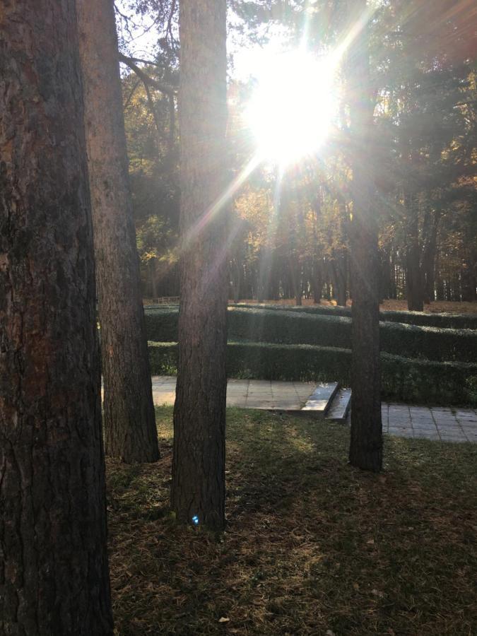 Пд Енерго - Вила Електра Doupnitsa Extérieur photo
