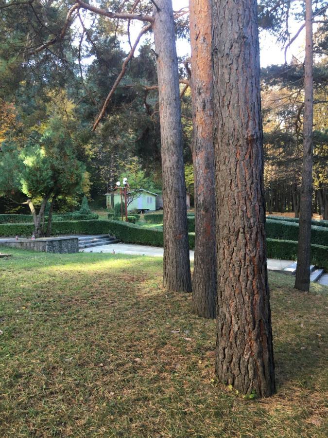 Пд Енерго - Вила Електра Doupnitsa Extérieur photo